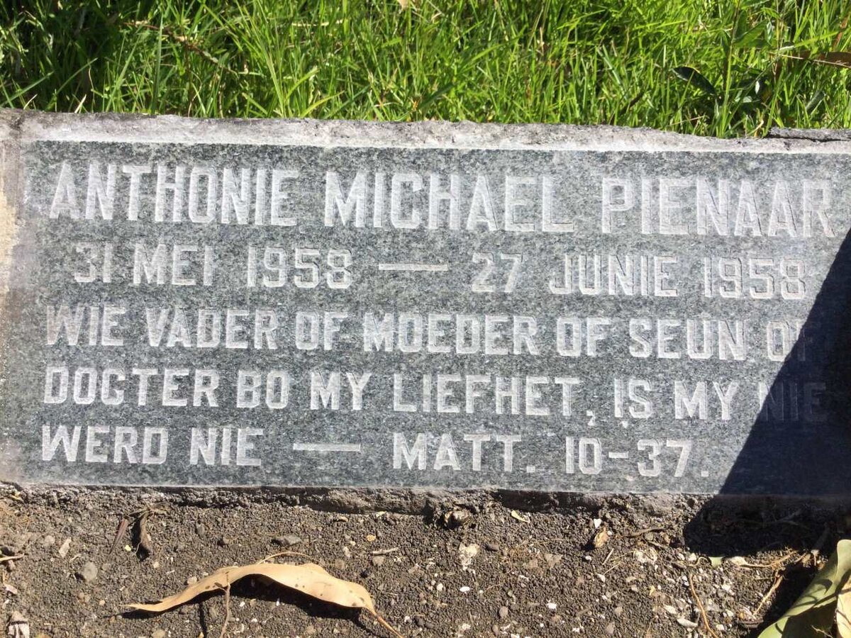 PIENAAR Anthonie Michael 1958-1958