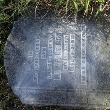 ROUX W.J.P., le 1867-1955