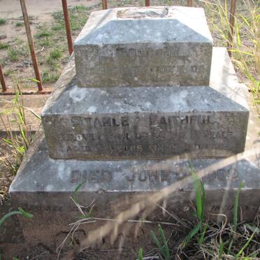 YEALE Stanley Faithful -1902