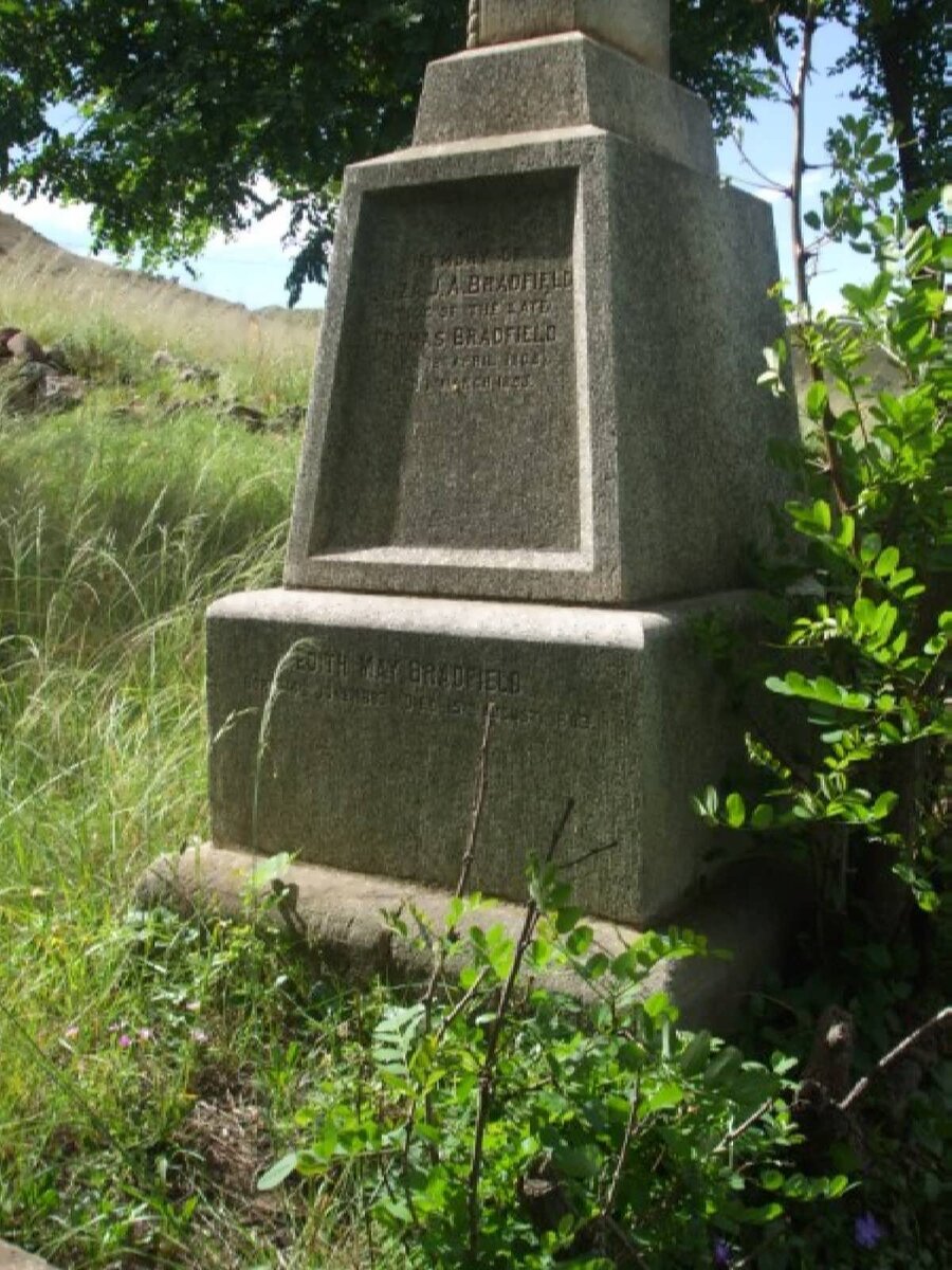 BRADFIELD Eliza J.A.