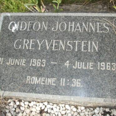 GREYVENSTEIN Gideon Johannes 1963-1963