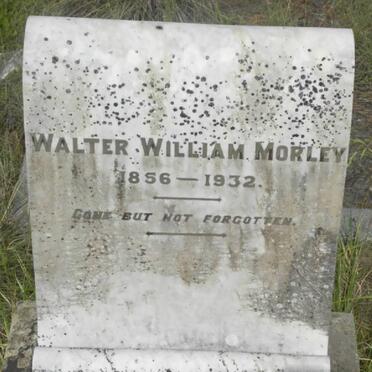 MORLEY Walter William 1856-1932
