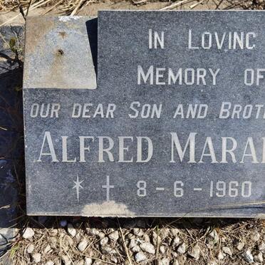 MARAIS Alfred 1960-1960