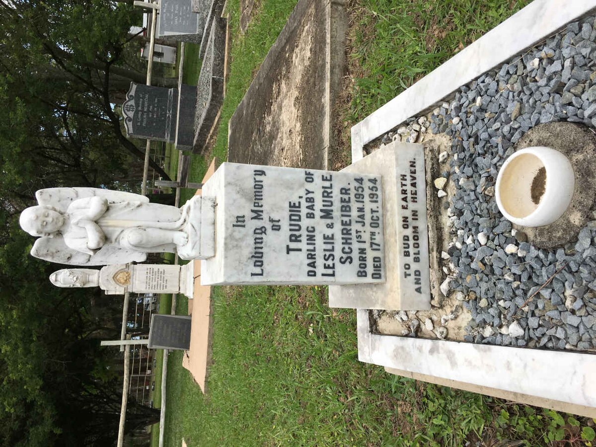 SCHREIBER Trudie 1954-1954