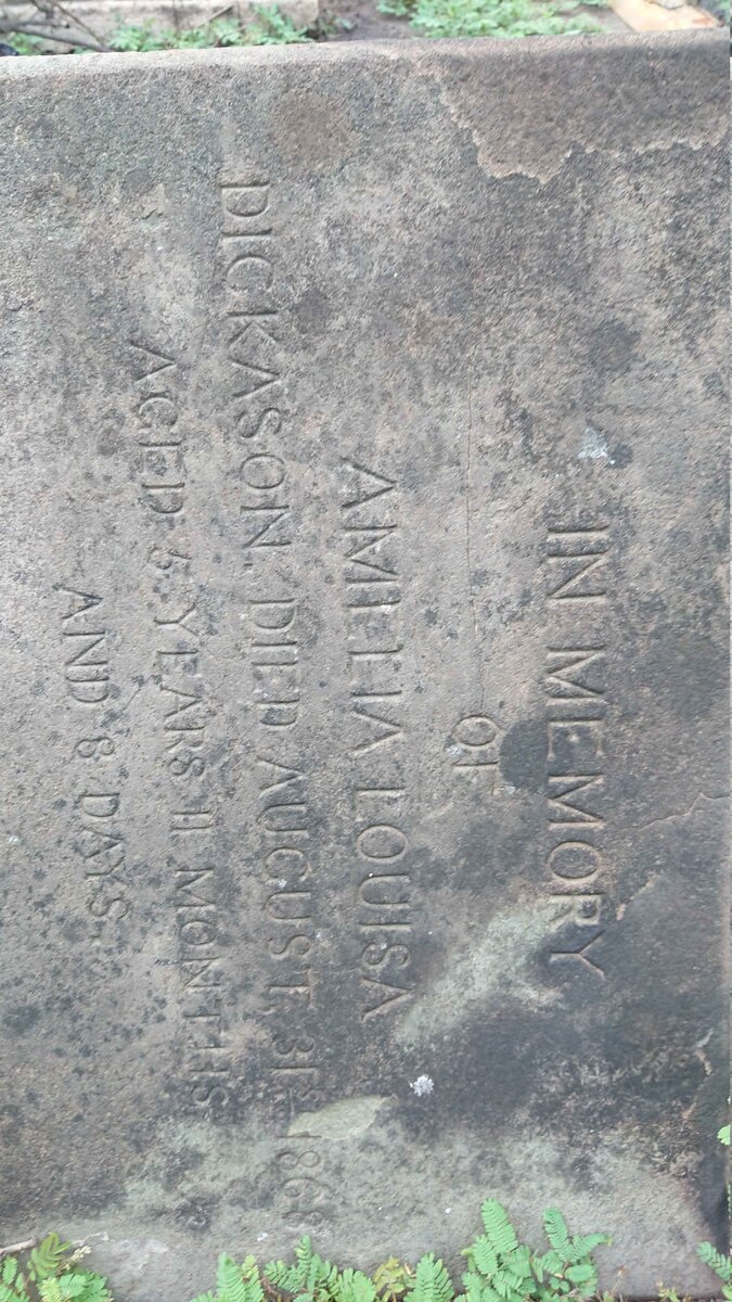 DICKASON Amelia Louisa -1868