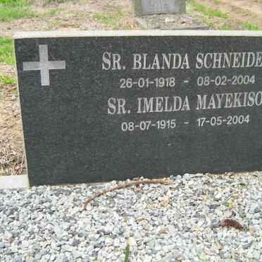 1. Catholic Sisters of Religion