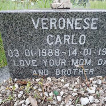 CARLO Veronese 1988-1995