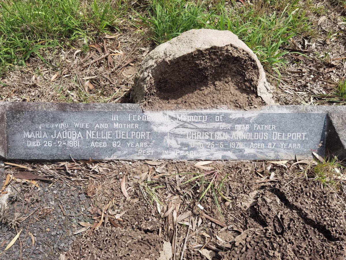 DELPORT Christian Arnoldus -1979 & Maria Jacoba Nellie -1961