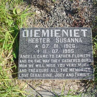 DIEMIENIET Hester Susanna 1926-1995
