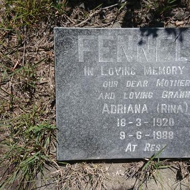 FENNELL Adriana 1920-1988