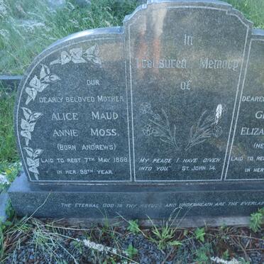 MOSS Alice Maud Annie nee ANDREWS -1958 :: SUMNER Gertrude Elizabeth nee MOSS -1961