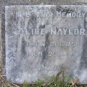 NAYLOR Alice 1875-1950