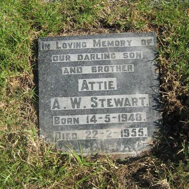 STEWART A.W. 1948-1955