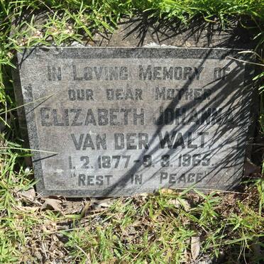 WALT Elizabeth Johanna, van der 1877-1965