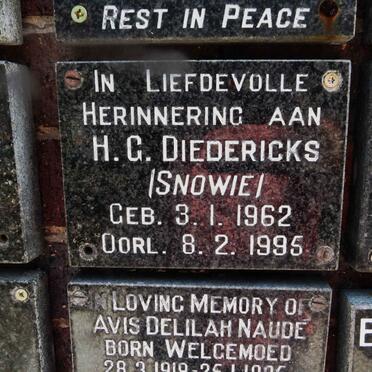 DIEDERICKS H.G. 1962-1995