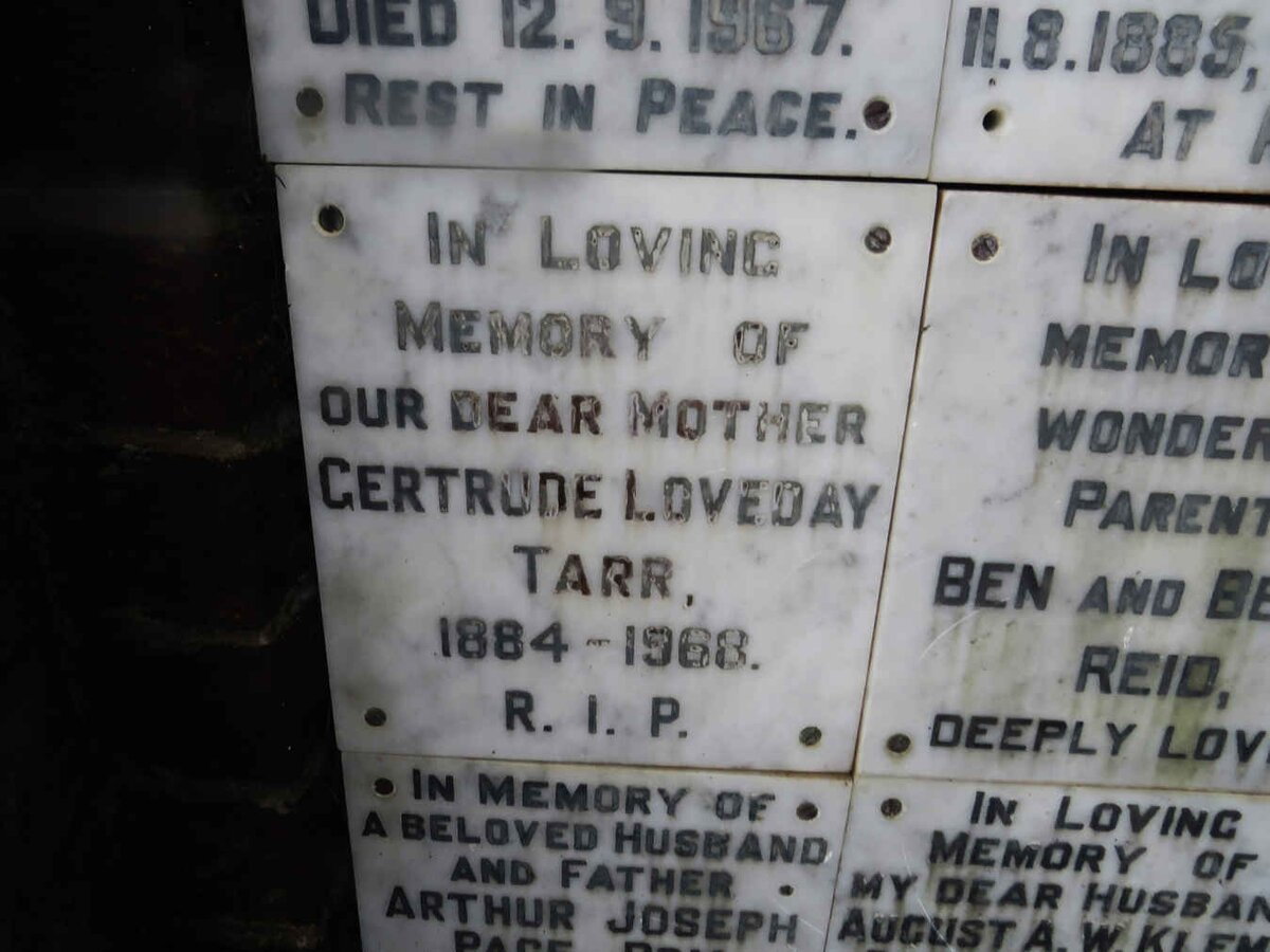 TARR Gertrude Loveday 1884-1968