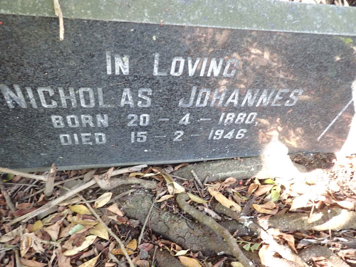 ? Nicholas Johannes 1880-1946