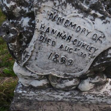 C - Surnames :: Vanne - C