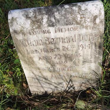 DUFFY William Bernard 1914 :: WILLIAMS Mary Ann -1912