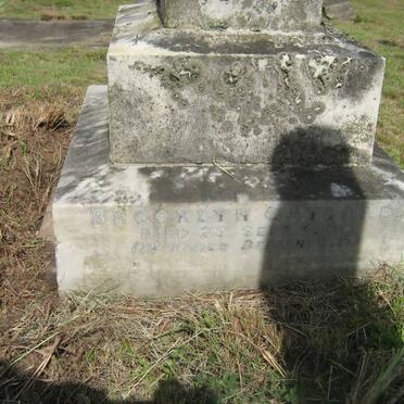 GAYLARD Brooklyn -1900