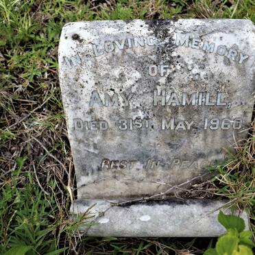 HAMILL Amy -1960