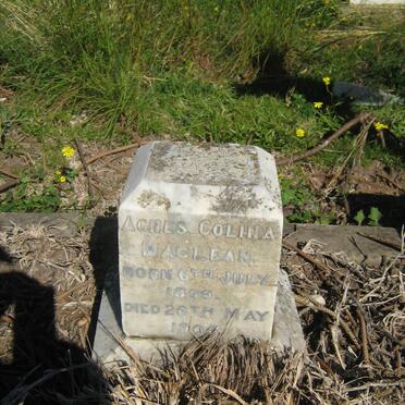 MACLEAN Agnes Colina 1899-1904