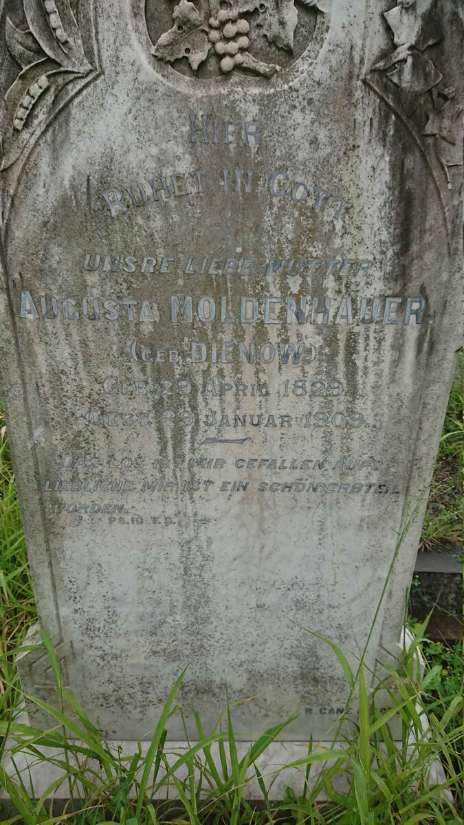 MOLDENHAUER Augusta nee DIENOW 1829-1909