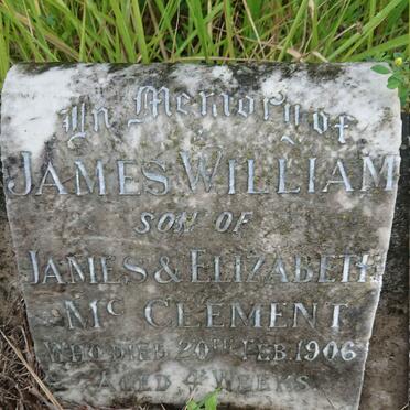 MCCLEMENT James William -1906