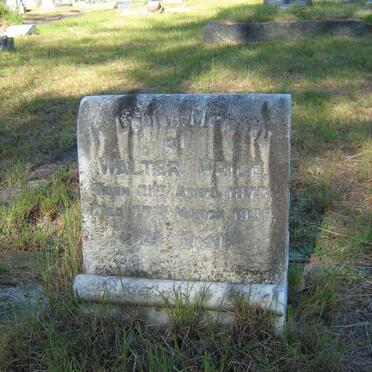 PRICE Walter 1873-1939