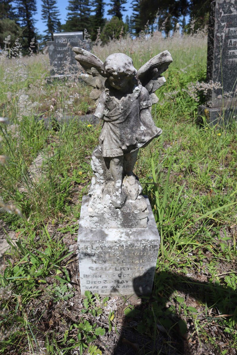 SCHALKWYK Neville, van 1940-1941 _1