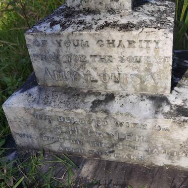 TAYLER Amy Louisa -1912