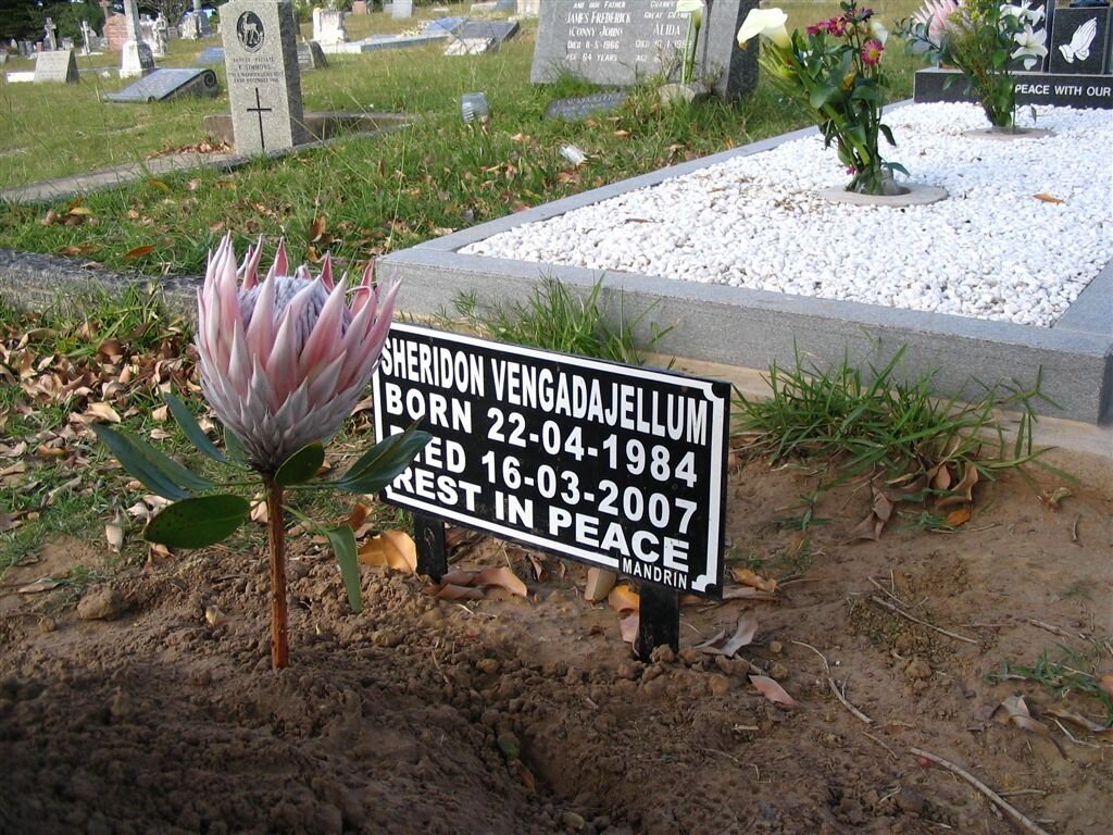 VENGADAJELLUM Sheridon 1984-2007