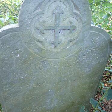 W - Surnames :: Vanne - W