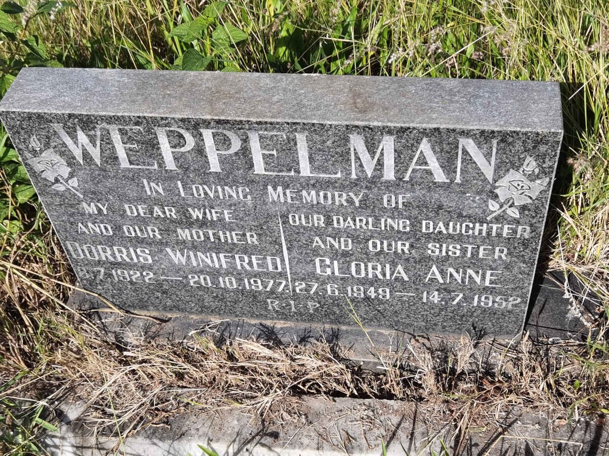 WEPPELMAN Dorris Winifred 1922-1977 :: WEPPELMAN Gloria Anne 1949-1952