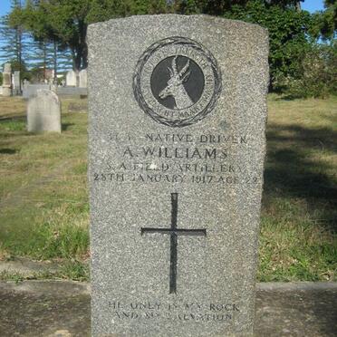 WILLIAMS A. -1917