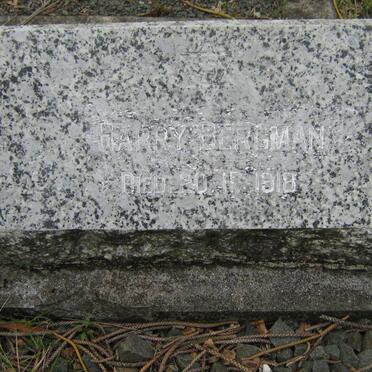 BERGMAN Harry -1918