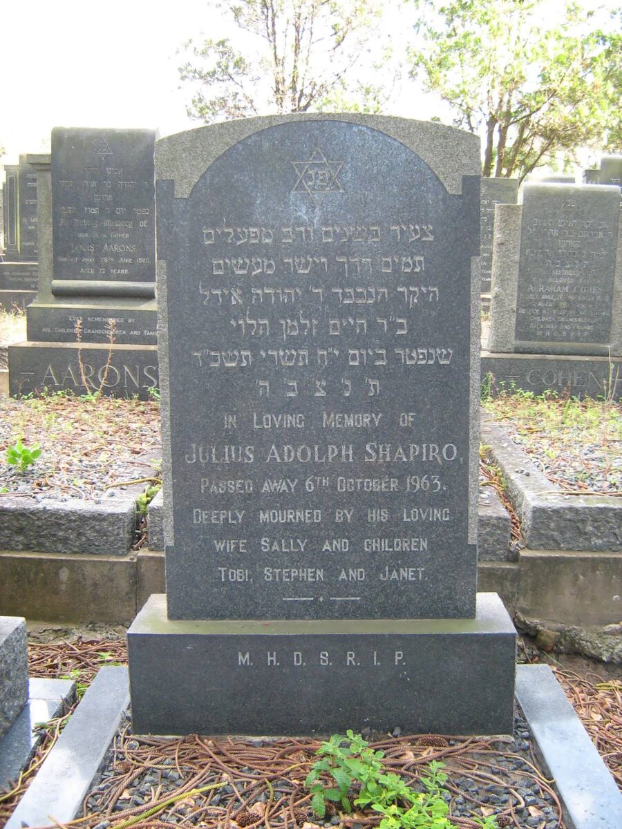 SHAPIRO Julius Adolph -1963