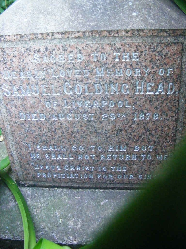 HEAD Samuel Golding -1878
