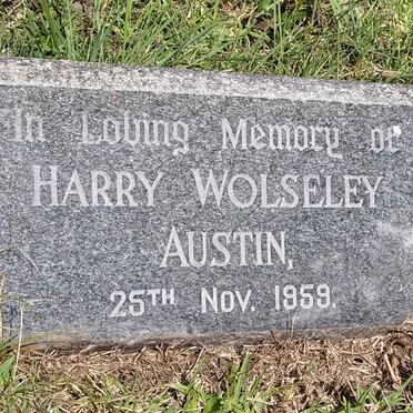 AUSTIN Harry Wolseley -1959
