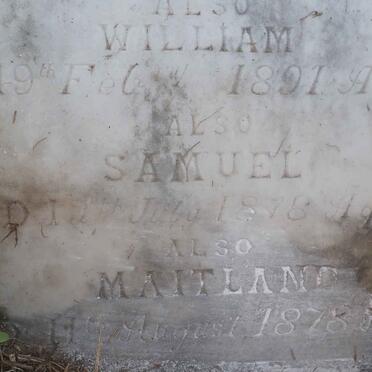 GIBSON Samuel -1897 &amp; Sophia -1886 :: GIBSON William -1891 :: GIBSON Samuel -1878 :: GIBSON Maitland -1878