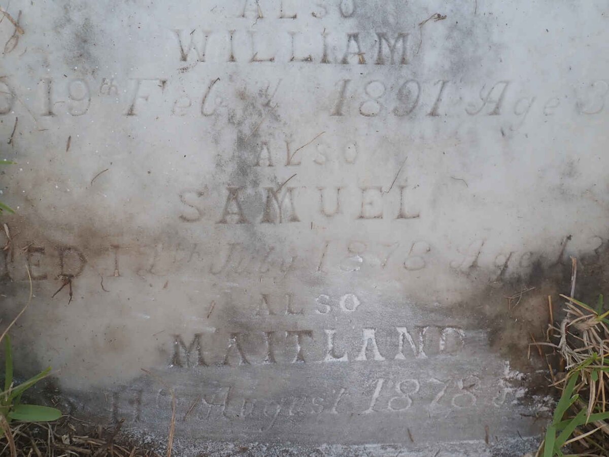 GIBSON Samuel -1897 &amp; Sophia -1886 :: GIBSON William -1891 :: GIBSON Samuel -1878 :: GIBSON Maitland -1878