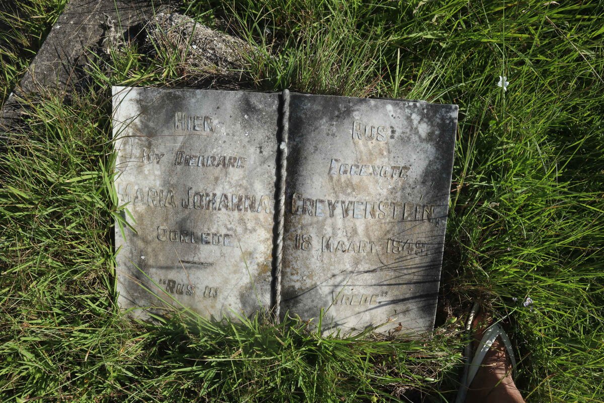 GREYVENSTEIN Maria Johanna -1949