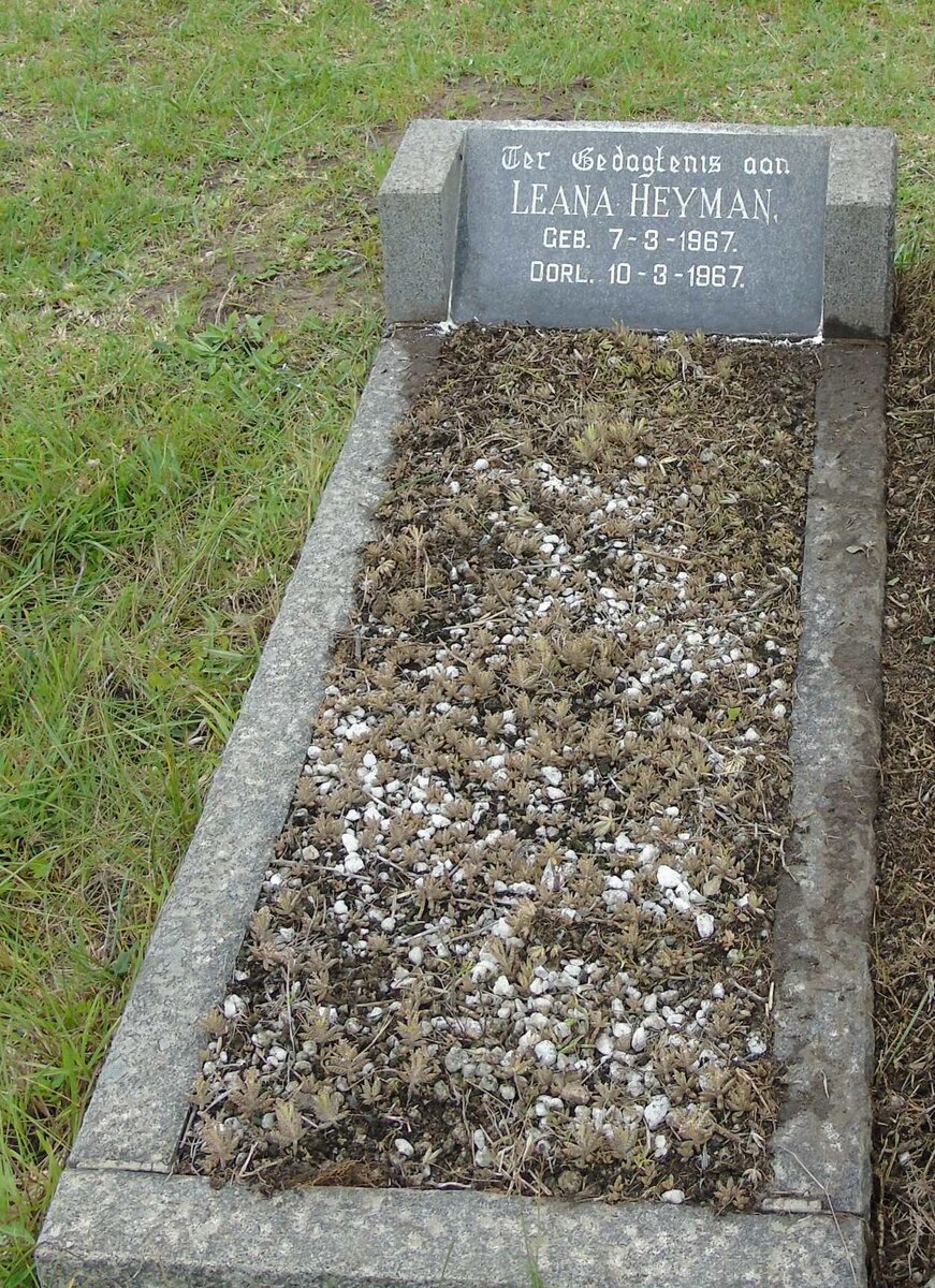 HEYMAN Leana 1967-1967