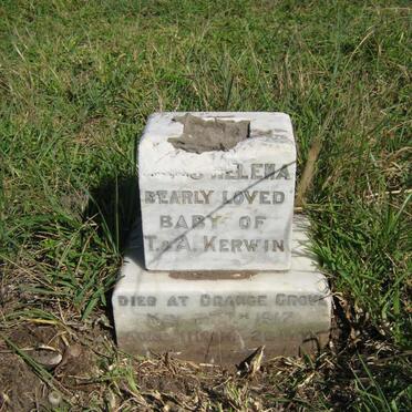 KERWIN Agnes Helena -1917