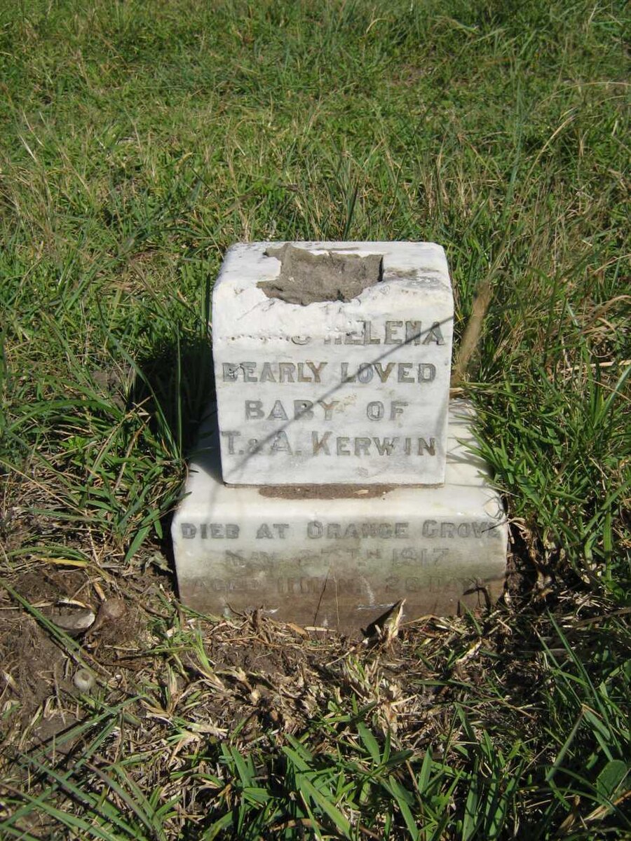 KERWIN Agnes Helena -1917