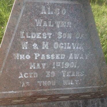 OGILVIE Walter -1903 &amp; Margaret 1905 :: OGILVIE Walter -1901