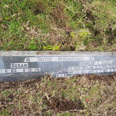 STAPLE Charles T. 1884-1956 &amp; Susan 1883-1979 :: STAPLE John 1917-1918