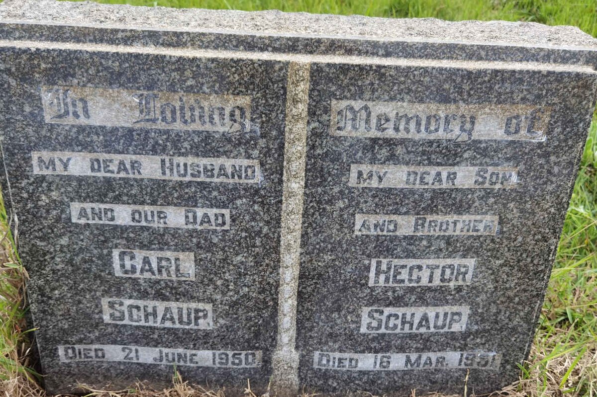 SCHAUP Carl -1950 :: SCHAUP Hector -1951