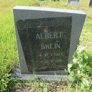 SKEIN Albert 1937-1981