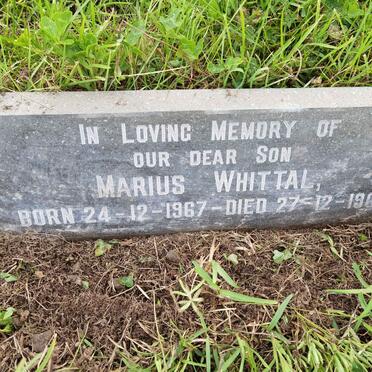 WHITTAL Marius 1967-1969